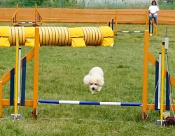 通学トレーニング