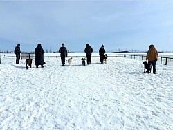 通学トレーニング