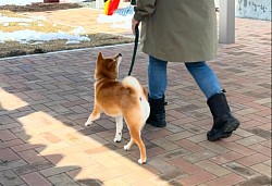 出張トレーニング